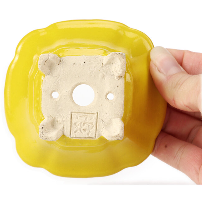 Vaso bonsai quadrato giallo di Seto - 90 x 90 x 50 mm