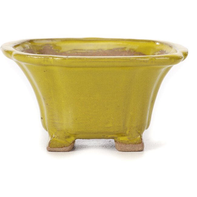 Square yellow bonsai pot by Seto - 90 x 90 x 50 mm