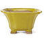 Square yellow bonsai pot by Seto - 90 x 90 x 50 mm