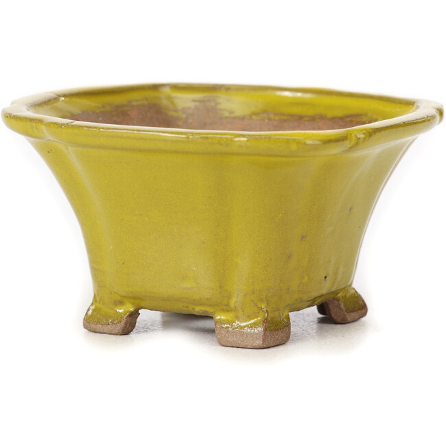 Pot à bonsaï carré jaune par Seto - 90 x 90 x 50 mm