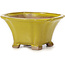 Square yellow bonsai pot by Seto - 90 x 90 x 50 mm