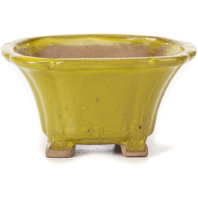 Vaso bonsai quadrato giallo di Seto - 90 x 90 x 50 mm