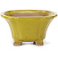 Square yellow bonsai pot by Seto - 90 x 90 x 50 mm