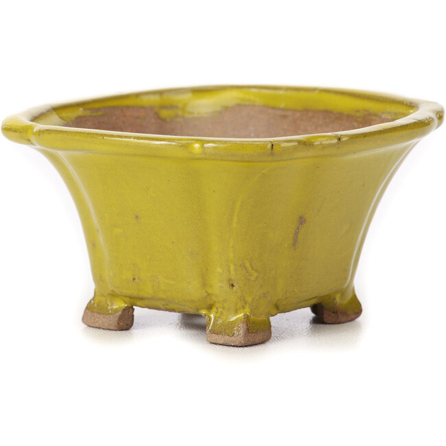 Vierkante gele bonsaipot van Seto - 90 x 90 x 50 mm