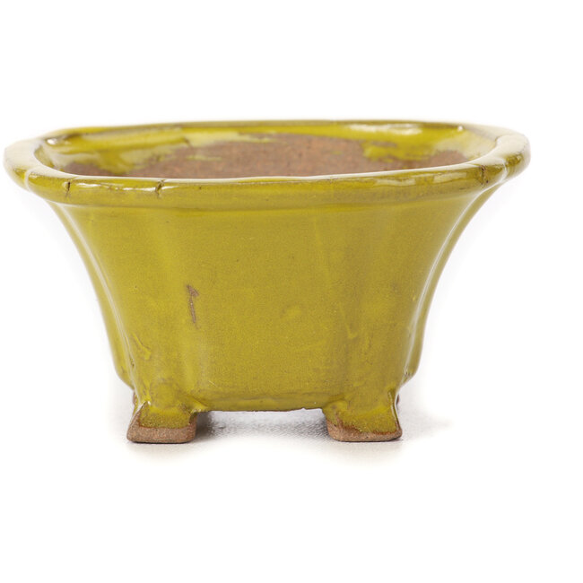 Vaso bonsai quadrato giallo di Seto - 90 x 90 x 50 mm