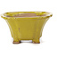 Square yellow bonsai pot by Seto - 90 x 90 x 50 mm