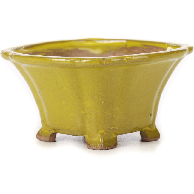 Vaso bonsai quadrato giallo di Seto - 90 x 90 x 50 mm