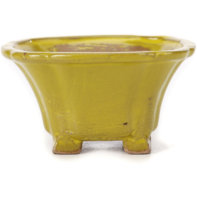 Quadratische gelbe Bonsaischale von Seto - 90 x 90 x 50 mm
