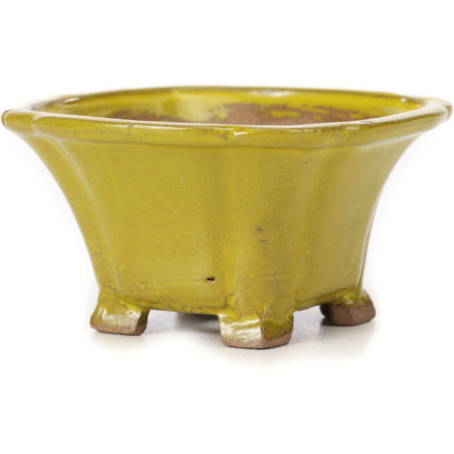 Pot à bonsaï carré jaune par Seto - 90 x 90 x 50 mm