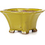Pot à bonsaï carré jaune par Seto - 90 x 90 x 50 mm