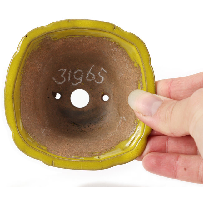 Vaso bonsai quadrato giallo di Seto - 90 x 90 x 50 mm