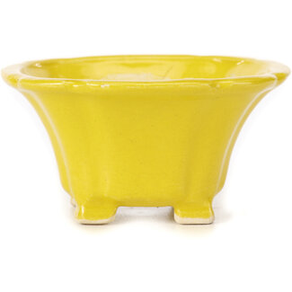 Seto 95 mm square yellow bonsai pot by Seto, Japan