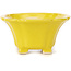 Pot à bonsaï carré jaune par Seto - 95 x 95 x 50 mm
