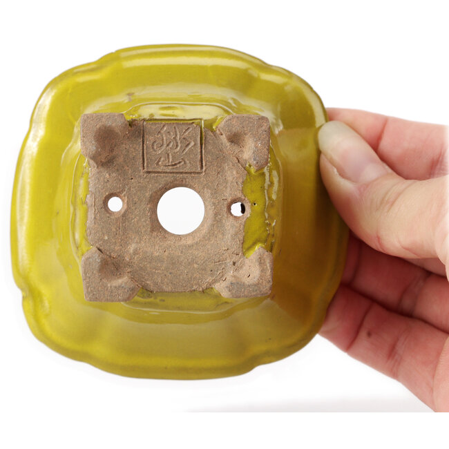 Pot à bonsaï carré jaune par Seto - 90 x 90 x 50 mm