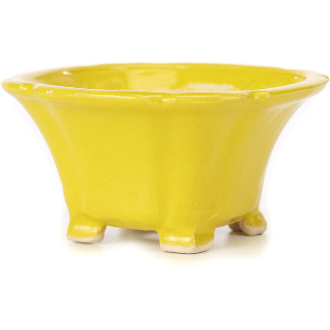 Square yellow bonsai pot by Seto - 95 x 95 x 50 mm