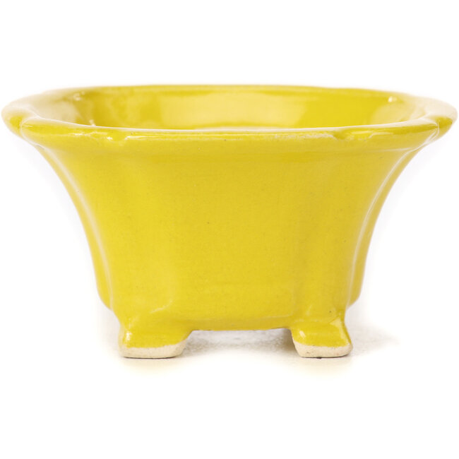 Vierkante gele bonsaipot van Seto - 95 x 95 x 50 mm