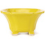 Pot à bonsaï carré jaune par Seto - 95 x 95 x 50 mm