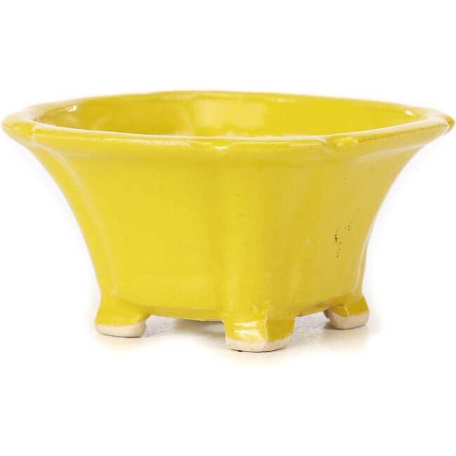 Quadratische gelbe Bonsaischale von Seto - 95 x 95 x 50 mm