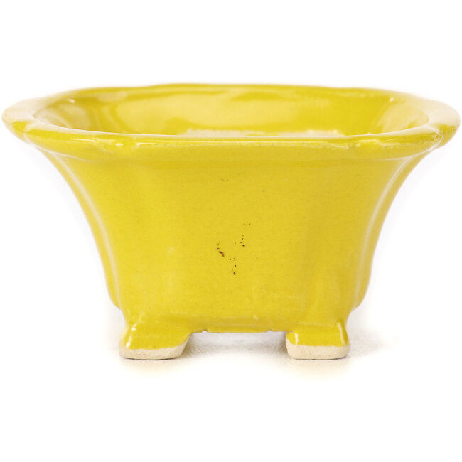 Square yellow bonsai pot by Seto - 95 x 95 x 50 mm