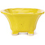 Pot à bonsaï carré jaune par Seto - 95 x 95 x 50 mm