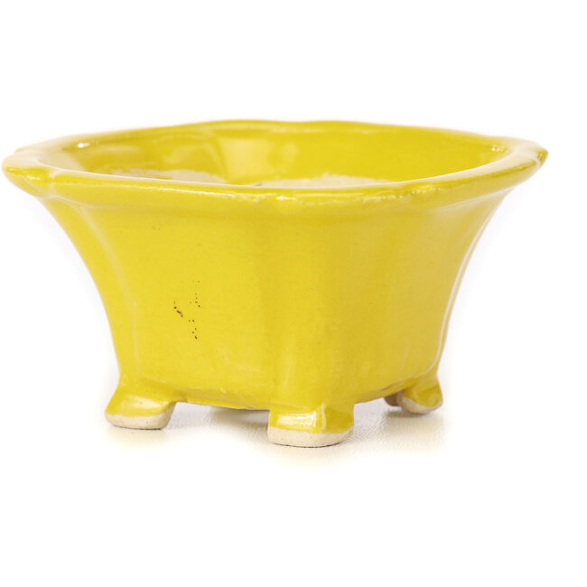 Quadratische gelbe Bonsaischale von Seto - 95 x 95 x 50 mm