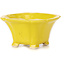 Pot à bonsaï carré jaune par Seto - 95 x 95 x 50 mm