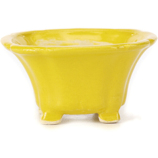 Maceta de bonsái amarilla cuadrada de Seto - 95 x 95 x 50 mm