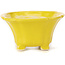 Pot à bonsaï carré jaune par Seto - 95 x 95 x 50 mm