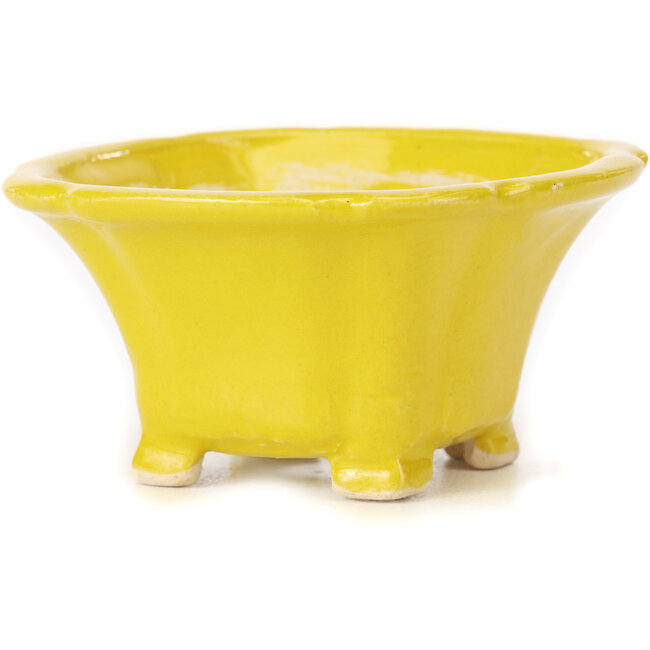 Vaso bonsai quadrato giallo di Seto - 95 x 95 x 50 mm