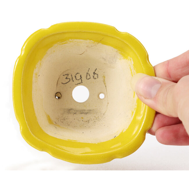 Square yellow bonsai pot by Seto - 95 x 95 x 50 mm