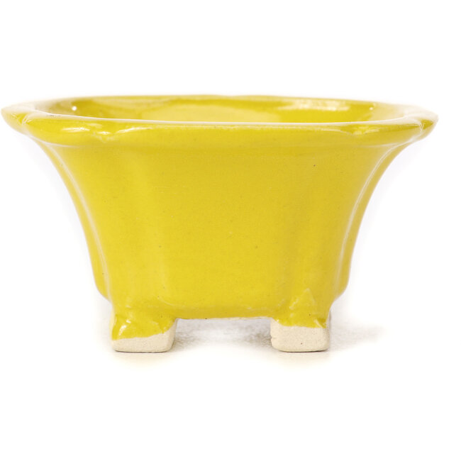 Square yellow bonsai pot by Seto - 95 x 95 x 50 mm