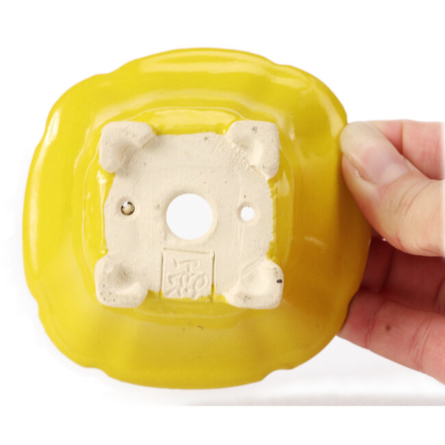 Pot à bonsaï carré jaune par Seto - 95 x 95 x 50 mm