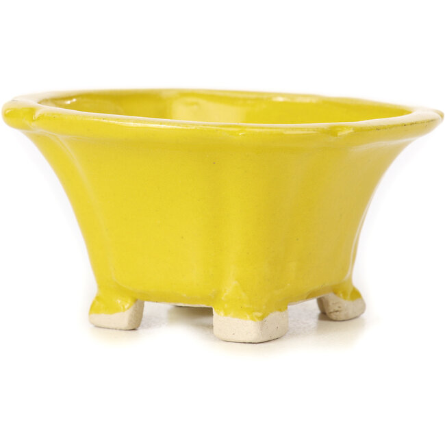 Pot à bonsaï carré jaune par Seto - 95 x 95 x 50 mm