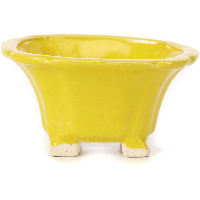 Quadratische gelbe Bonsaischale von Seto - 95 x 95 x 50 mm
