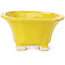 Pot à bonsaï carré jaune par Seto - 95 x 95 x 50 mm