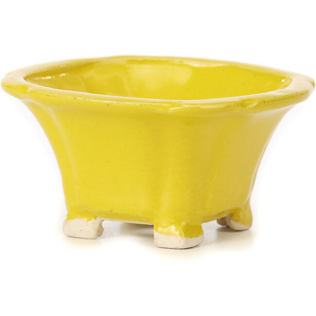 Square yellow bonsai pot by Seto - 95 x 95 x 50 mm