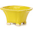 Pot à bonsaï carré jaune par Seto - 95 x 95 x 50 mm
