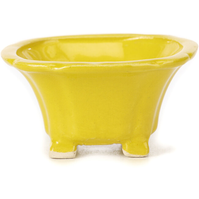 Maceta de bonsái amarilla cuadrada de Seto - 95 x 95 x 50 mm