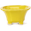 Quadratische gelbe Bonsaischale von Seto - 95 x 95 x 50 mm