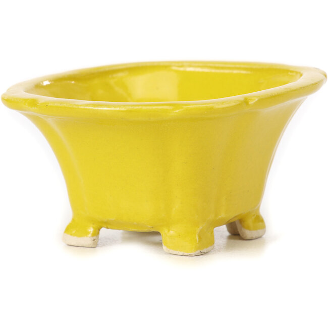 Square yellow bonsai pot by Seto - 95 x 95 x 50 mm