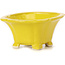 Pot à bonsaï carré jaune par Seto - 95 x 95 x 50 mm