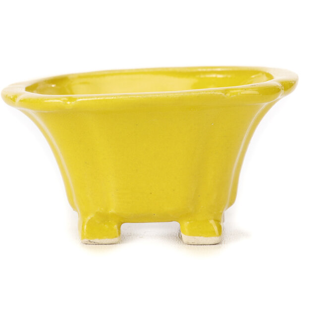 Quadratische gelbe Bonsaischale von Seto - 95 x 95 x 50 mm