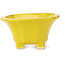 Pot à bonsaï carré jaune par Seto - 95 x 95 x 50 mm