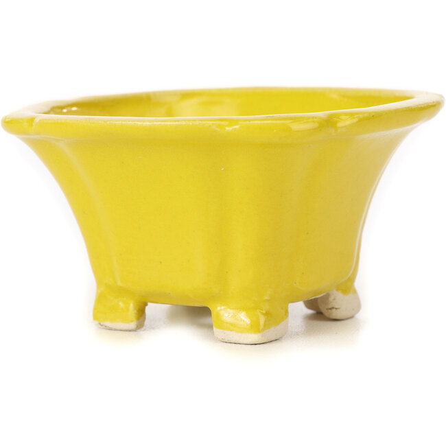 Vaso bonsai quadrato giallo di Seto - 95 x 95 x 50 mm