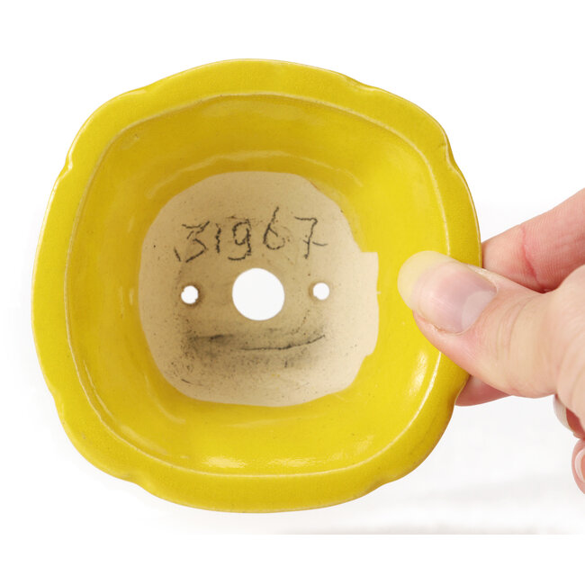 Square yellow bonsai pot by Seto - 95 x 95 x 50 mm