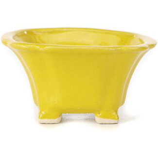 Seto Vaso per bonsai giallo quadrato da 90 mm di Seto, Giappone