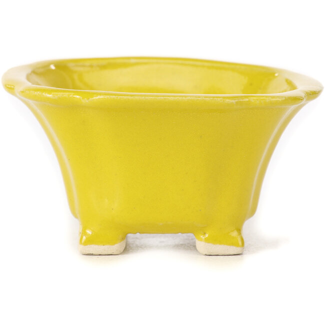 Pot à bonsaï carré jaune par Seto - 90 x 90 x 45 mm