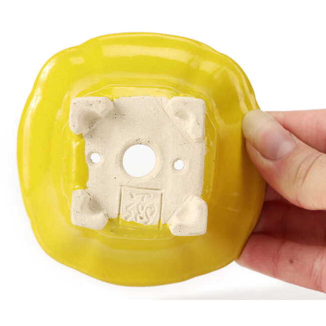Pot à bonsaï carré jaune par Seto - 95 x 95 x 50 mm