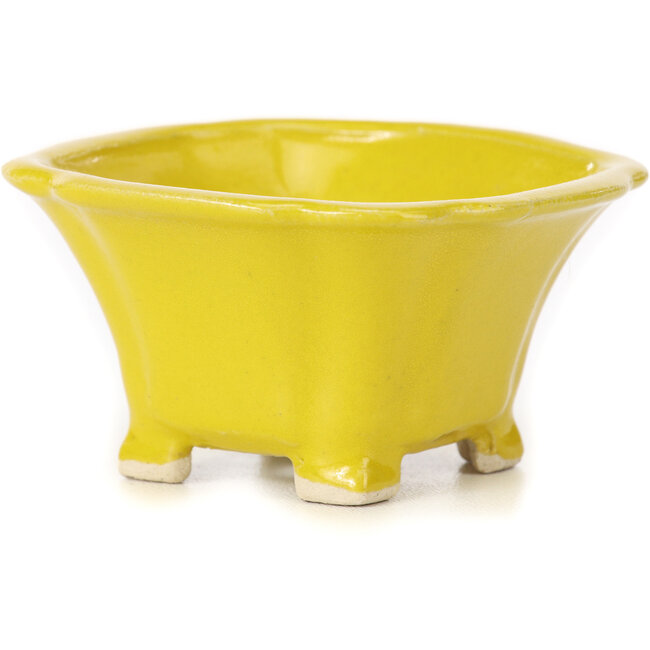 Maceta de bonsái amarilla cuadrada de Seto - 90 x 90 x 45 mm