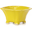 Pot à bonsaï carré jaune par Seto - 90 x 90 x 45 mm